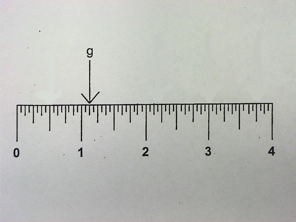 Ruler Measurement Review Quiz - ProProfs Quiz